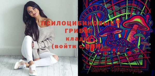 экстази Алексин