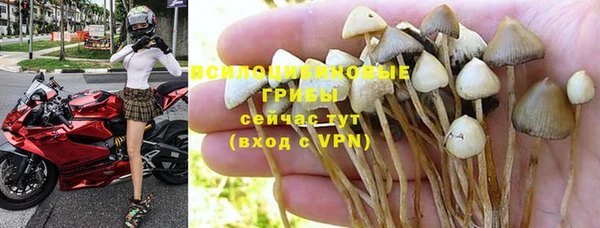экстази Алексин