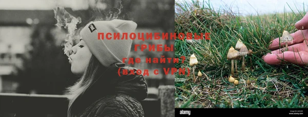 экстази Алексин