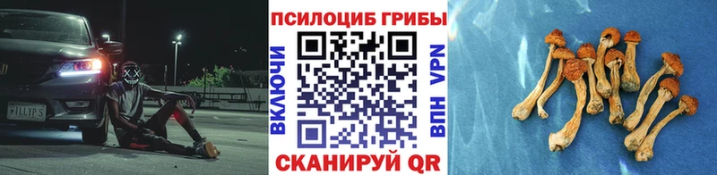 Галлюциногенные грибы Psilocybe  Пущино 